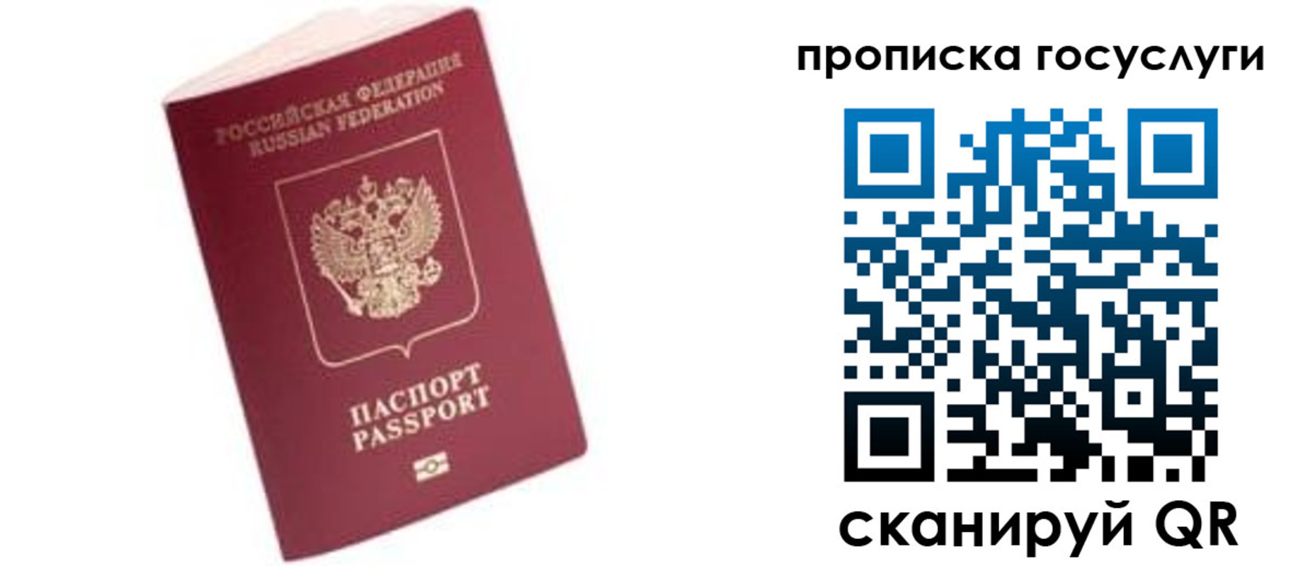 прописка в Кудрово